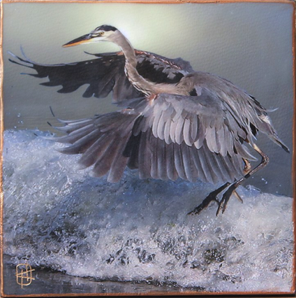 Heron Dance Heron Dance